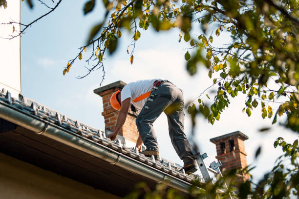 Professional Roofing Contractor in Vega, TX